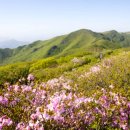 소백산에서 이미지