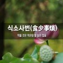 식소사번 이미지
