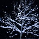 사곡1리 이미지