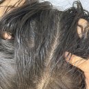 청소년 바이올린(초등1~중1학년) | 쿤달 올데이 스멜커버 청소년샴푸 트로피컬망고 후기