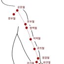 엄지약국 이미지