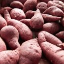 더쉐입PT 이미지