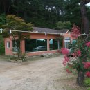 놀부네펜션 이미지