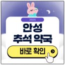 안성약국 | 안성 추석 문 여는 약국 확인하기 2025