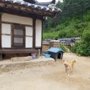 서원산업사 네이버블로그
