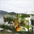 노들강변식당 이미지