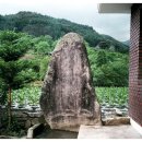 입석1구 Daum카페