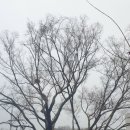 세곡사거리-시흥동 이미지
