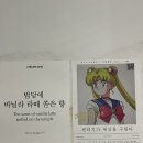 11월 근황