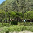 귤암리캠핑장 | [캠핑] 강원도 정선 귤암리캠핑장 후기(데크 27번)