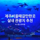 GS25 노형신비점 | 제주 비올때 갈만한곳 실내 관광지 노형수퍼마켙 저렴하게 이용하는 꿀팁 제주투어패스
