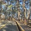 빼빼만덕 이미지