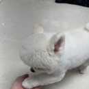 다니엘동물병원 이미지