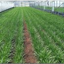 마을회관 앞 이미지