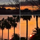 월드컵노래방 | 국내 리조트 추천 제주도 서귀포 월드컵 리조트 | 캠핑