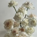 디어플라워(Dear.flour) | 광주 헤이허니 2호점 촬영 동행 후기 (디어마이로지 플라워디렉팅)