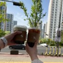 롤러버스 | 대구 비슬산 참꽃군락지 참꽃축제 셔틀버스 실시간 후기