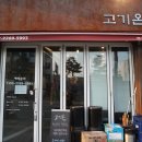 고기온[on]