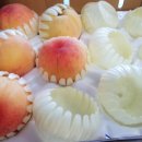 피치앤망고