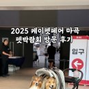 2025 케이펫페어 마곡 펫박람회 후기