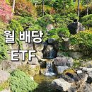 환원 | KODEX 주주환원 고배당주 ETF 매수 후기.[투자기록]