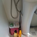 제주 대전 아줌마 민박 이미지