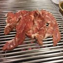 맛짱갈매기
