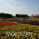 아름다운꽃세상 이미지