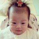 콩새야놀자