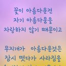 비올렛