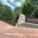 7월30일 (목) 도봉산 용어천계곡(마감) 이미지