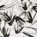 (주)지카 이미지