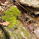 동인천한의원 이미지