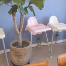 해가 | 울산 정자동 맛집 해가 솥밥전문점 후기