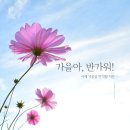 뷰티쏠 대구눈썹 속눈썹 왁싱 네일