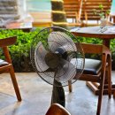 조이빌리지 | 푸꾸옥 가족여행 숙소 추천 :: 엠빌리지 M Village Phu Quoc 수영장 룸(이그저틱조이더블) 엑스트라...