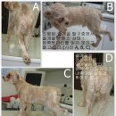 사우동골 이미지