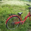 지방도1008호선 이미지