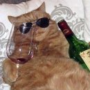 당진시 남부로 260-6 이미지