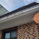 한골민박 이미지