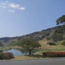 강우진 행정사 사무소 이미지