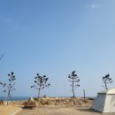 [캠핑장 후기/울진]염전해변 캠핑장 - 바다캠핑장, 오션뷰 (사이트 사진, 예약 링크 있음)