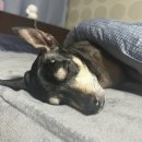 별내3로64-1 이미지