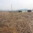 원두골농장 이미지