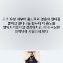 48편 장건의 서역원정.jpg 이미지