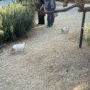 옛집황토방2 | 부산 정관 카페 유정1995 황토방 있는 눈내리는 이색 대형카페 솔직후기