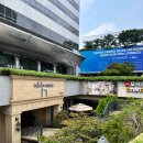 설렙 | 💍 | 강남 밝은 웨딩홀 투어 설렙앤어셈 26년 하반기 상담 후기 견적 공유 O/계약 X