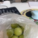 제희농장 이미지