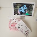 타코야끼 in 문어 이미지