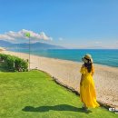 오케이아시아마트 대평점 | 베트남 나트랑 가족여행 코스 : 시내 투어 일정 비교 후기